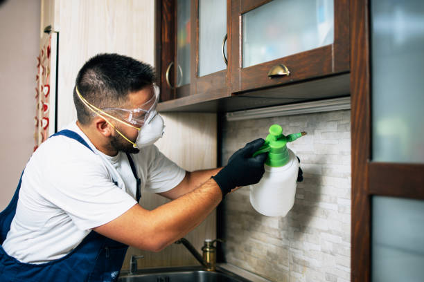 Best Flea Control Services  in Rushville, IN