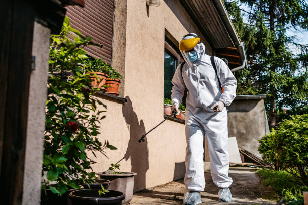 Best Exterminator Services  in Rushville, IN