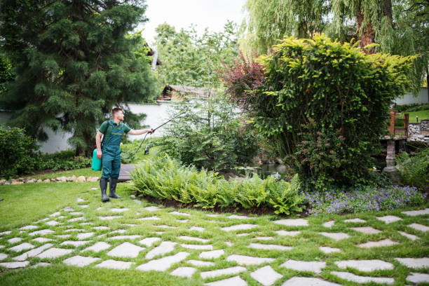 Best Pest Prevention Services  in Rushville, IN