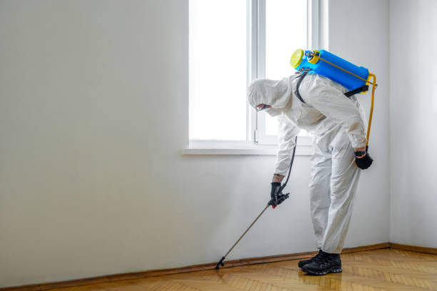 Best Cockroach Control Services  in Rushville, IN