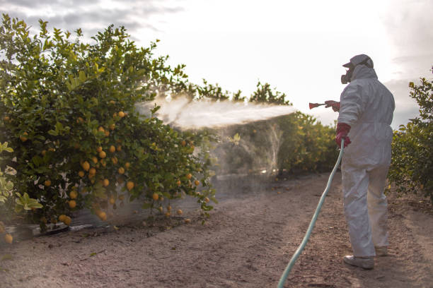 Pest Control for Restaurants in Rushville, IN