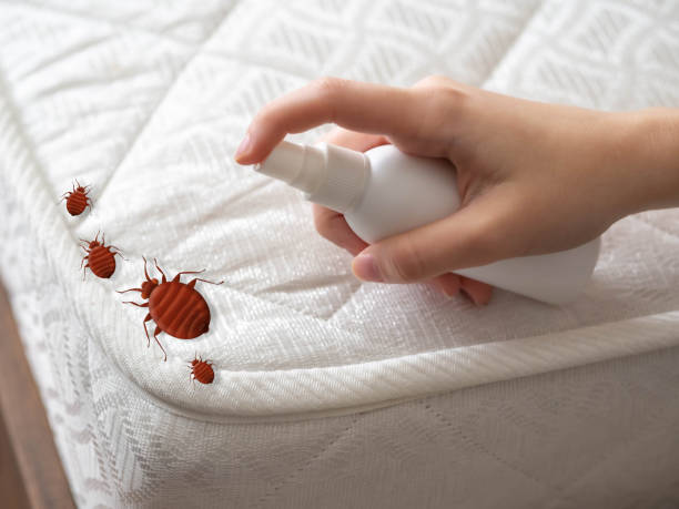 Best Best Pest Control Companies  in Rushville, IN