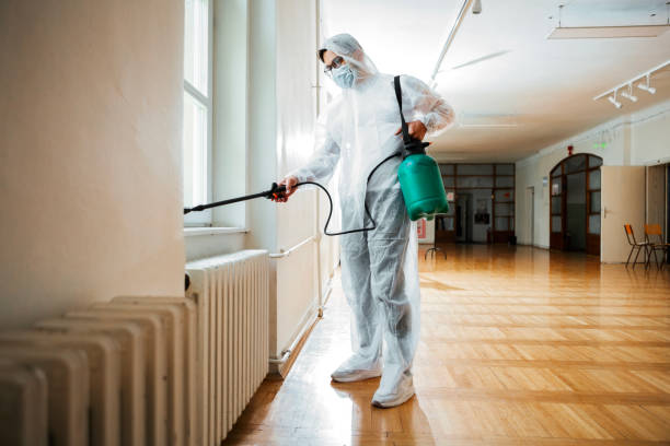 Best Rat Extermination Near Me  in Rushville, IN